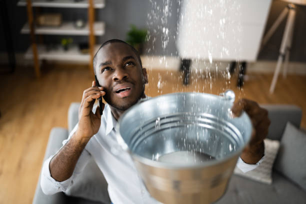Best Sewage cleanup and water damage restoration  in Cottage Grove, WI