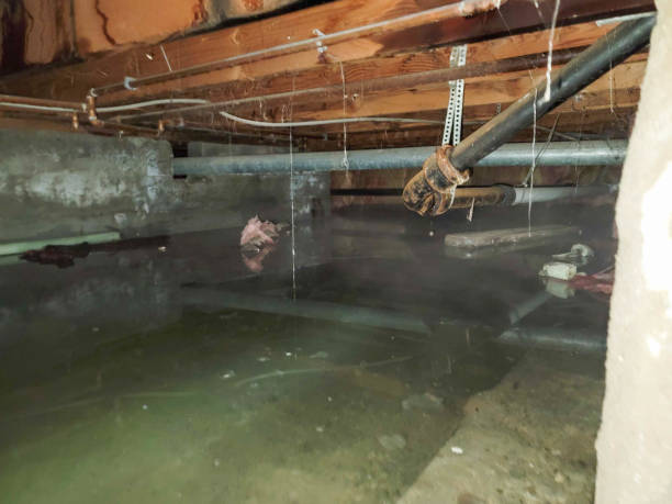 Best Flooded house restoration  in Cottage Grove, WI