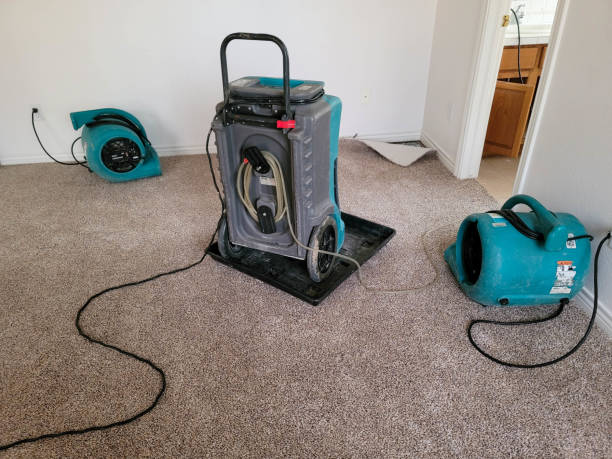 Best Water damage restoration experts  in Cottage Grove, WI