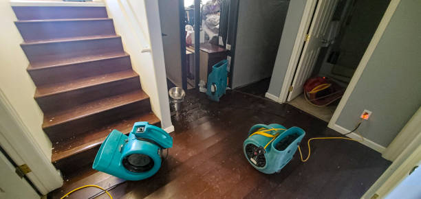 Best Residential water damage restoration  in Cottage Grove, WI