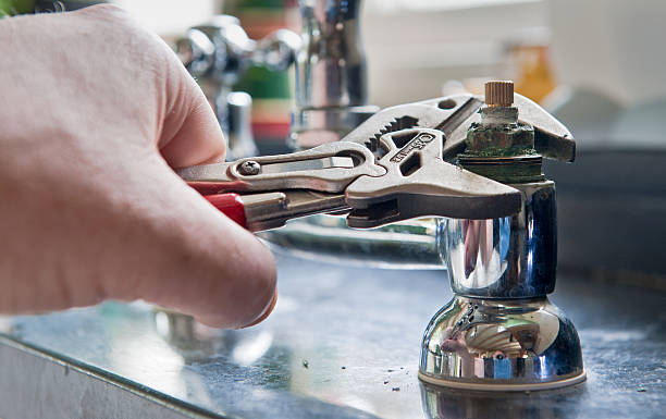 Best Mold removal after water damage  in Cottage Grove, WI