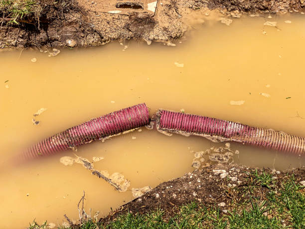 Best Commercial water damage restoration  in Cottage Grove, WI