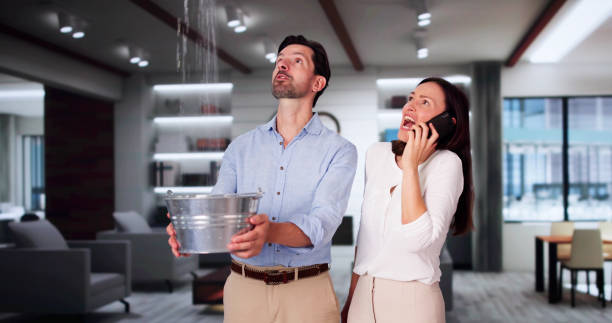 Best Fire Damage Restoration  in Cottage Grove, WI