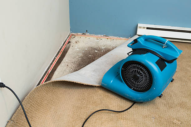 Best Local water damage restoration  in Cottage Grove, WI