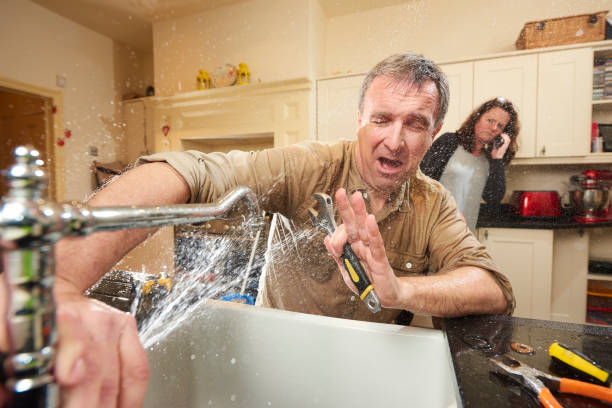 Best Carpet water damage restoration  in Cottage Grove, WI